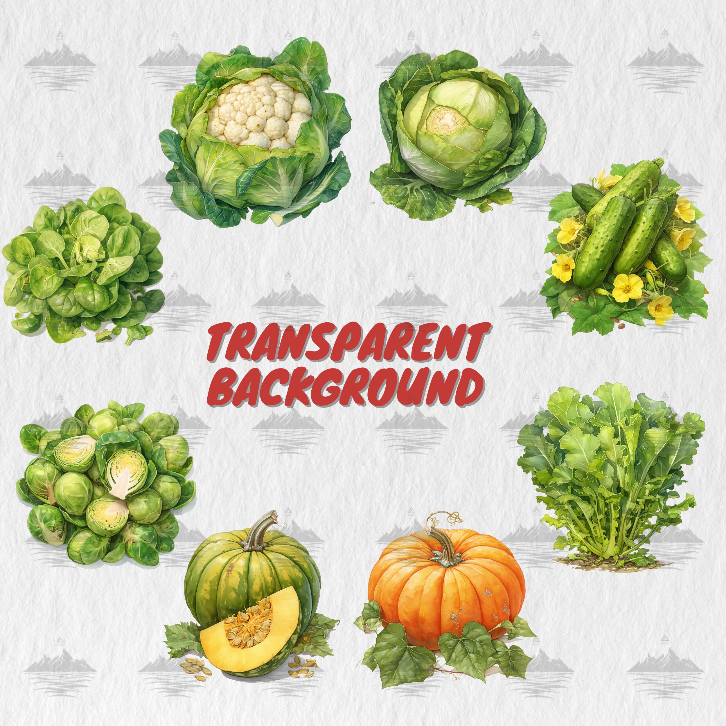 45 Watercolor Vegetables PNG Clipart Bundle, Tomato, Carrot, Corn ...