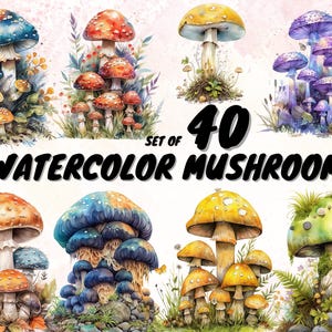 40 Clipart champignons aquarelle - mignon forêt nature champignon vénéneux clip art format PNG téléchargement immédiat pour un usage commercial