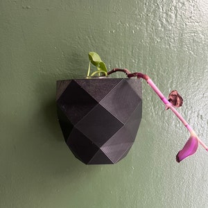 Wall Hanging and Self Watering Plant Pot