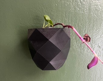 Wall Hanging and Self Watering Plant Pot