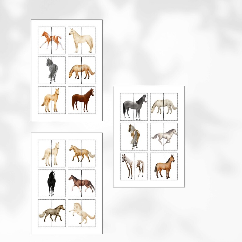 Horse Matching Game Montessori Montessori Matching Cards Printable Horse Matching Game Montessori Montessori Matching Cards Printable