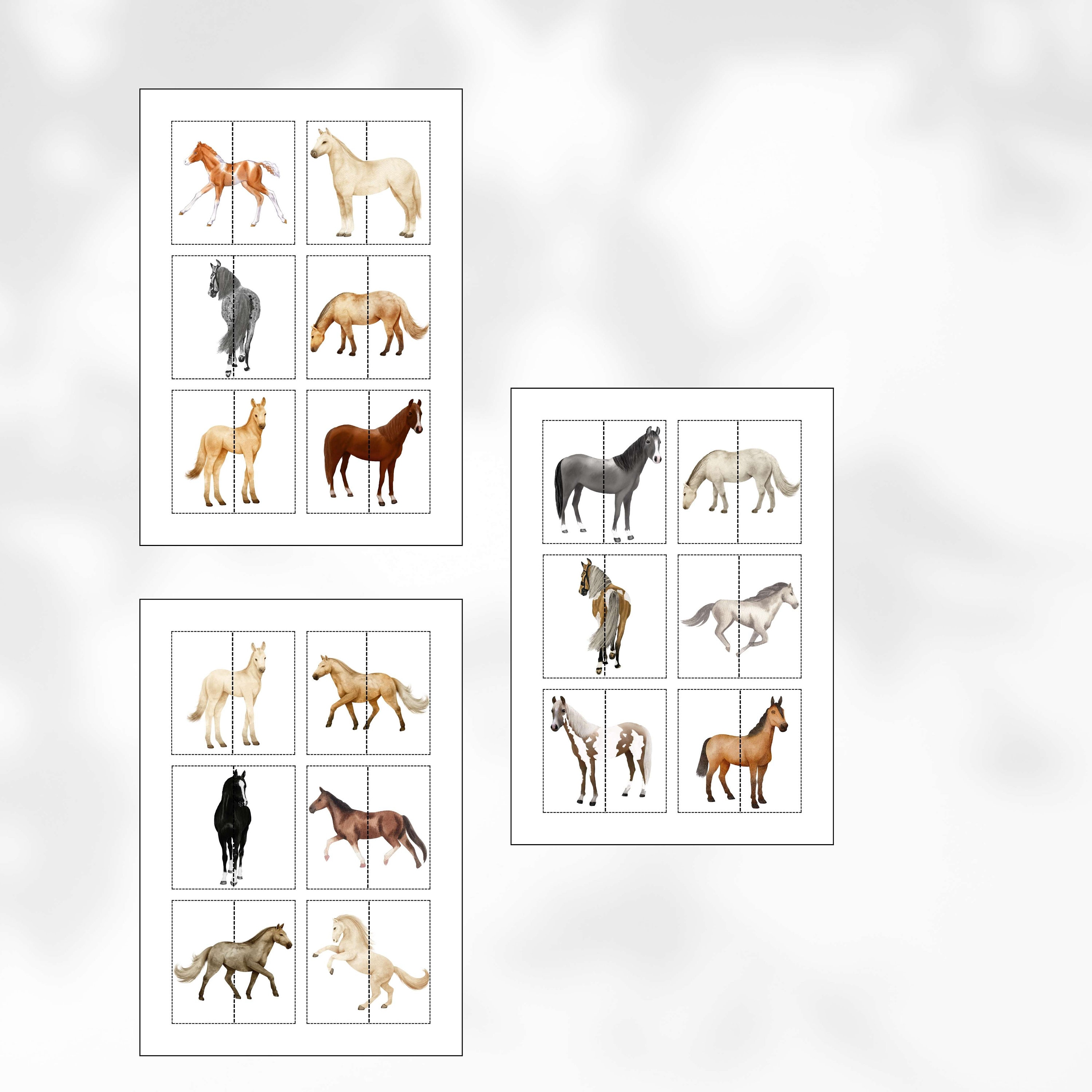 Horse Matching Game: Montessori Printable Cards (PDF) - Etsy