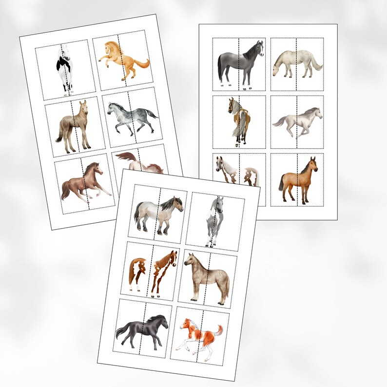 Horse Matching Game Montessori Montessori Matching Cards Printable Horse Matching Game Montessori Montessori Matching Cards Printable