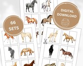 Horse Matching Game: Montessori Printable Cards (PDF)