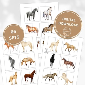 Juego de emparejamiento de caballos Montessori, Tarjetas de emparejamiento Montessori, Juego imprimible, Actividad de caballos, Juego preescolar imprimible, Actividad de caballos a juego