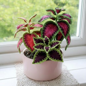 May include: A crocheted plant with red, purple, and green leaves in a light pink pot. The handmade plant is on a white windowsill with a lace doily. The leaves have a detailed, textured appearance, showcasing the craftwork.