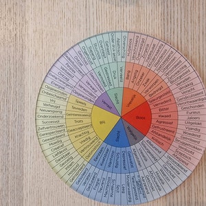 Emotieroos, Emotiewiel, Emotiewijzer, Therapietool, Hulpmiddel bij Emotieregulatie,