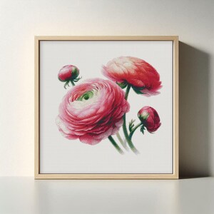 Bring Nature Indoors: Elegant Pink Ranunculus Cross Stitch Pattern for Flower Lovers & Modern Interiors