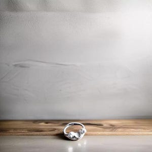 Retro Frog Toad Animal Rings for Women & Men - Artistic Design, Silver Color, Resizable Unisex Statement Ring - Best Gift Jewelry