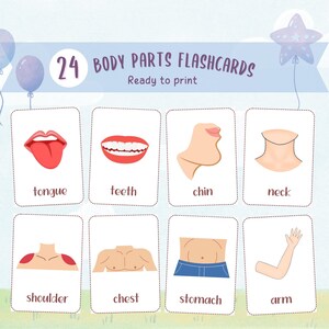 Body Parts Flashcards, Printable Learning Cards, Human Body Vocabulary ...