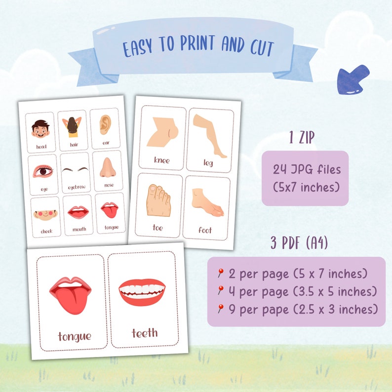 Body Parts Flashcards, Montessori Language Printables, Educational ...