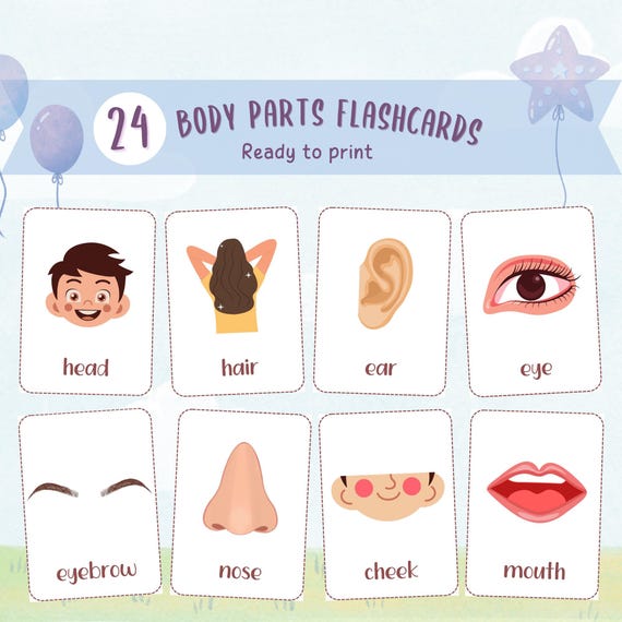 Body Parts Flash Cards Word Cards Body Parts Flashcards