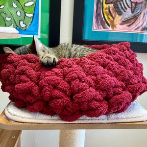 Hand Crochet Pet Bed - Chenille Cat Bed - Handmade - Medium Cat Bed - Cat Bed - Crochet Pet Accessories -