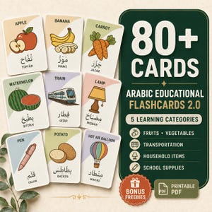 May include: A set of 80+ Arabic educational flashcards featuring illustrations of fruits, vegetables, transportation, household items, and school supplies. Each card displays the English word, Arabic script, and transliteration for learning purposes.