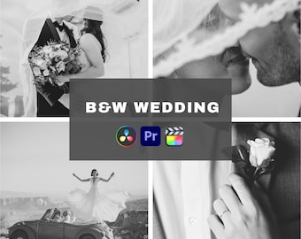LUTs de boda en blanco y negro, filtros de vídeo de un solo clic (archivos .cube)