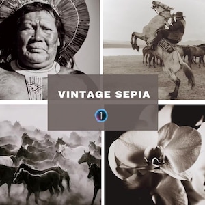 May include: A selection of vintage sepia-toned photographs. The images feature a portrait of a person in a headdress, a cowboy on a rearing horse, a herd of running horses, and a close-up of an orchid flower.