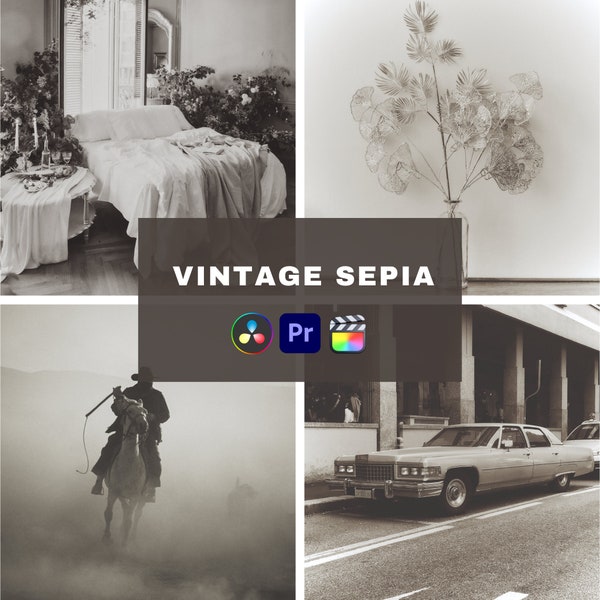 10 Vintage Sepia video LUTs, Handmade, Original, One-click use, Davinci Resolve, Adobe Premiere, Final Cut Pro, color, CapCut,.cube files