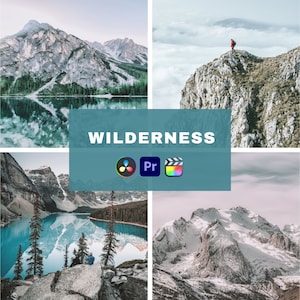 10 Wilderness video LUTs, Handmade, Original, One-click use, Davinci Resolve, Adobe Premiere, Final Cut Pro, color LUTs, .cube files