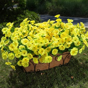 UV Resistant Silk Morning Glory: Fall Outdoor Artificial Flowers - 12 Bundles Yellow
