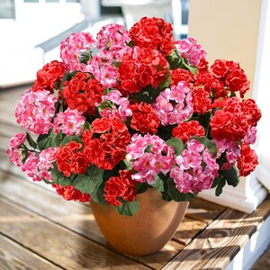 May include: A terracotta pot overflowing with vibrant red and pink geraniums. The flowers are in full bloom, creating a lush, colorful display. The pot sits on a wooden surface, adding a natural touch to the floral arrangement.