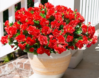 UV Resistant Faux Camellia: 3 Bundles Artificial Outdoor Fall Flowers