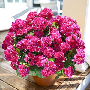Artificial Geranium Flowers (6 Bundles): UV Resistant Faux Silk Outdoor Decor Fuchsia