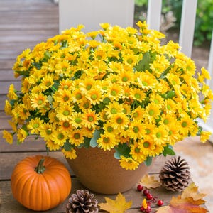 Artificial Fake Outdoor Mums Fall Flowers Plants for Autumn Outdoors, Faux Chrysanthemum Sunflowers Look Real for Front Door Porch Patio