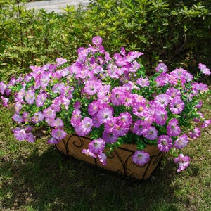 UV Resistant Silk Morning Glory: Fall Outdoor Artificial Flowers - 12 Bundles Gradient Purple