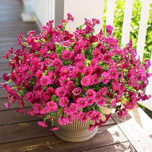UV Resistant Silk Morning Glory: Fall Outdoor Artificial Flowers - 12 Bundles Fuchsia