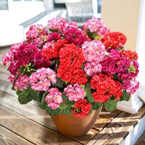 Artificial Geranium Flowers (6 Bundles): UV Resistant Faux Silk Outdoor Decor