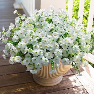 UV Resistant Silk Morning Glory: Fall Outdoor Artificial Flowers - 12 Bundles White