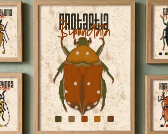 Printable insect poster. Green and brown bug decor for kids room. Entomology art gift.
