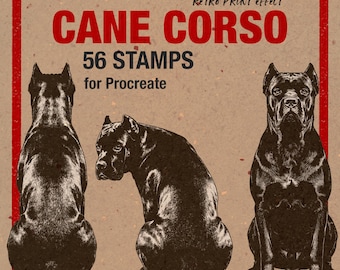 Cane Corso Vintage Engraving Dog Stamp for Procreate