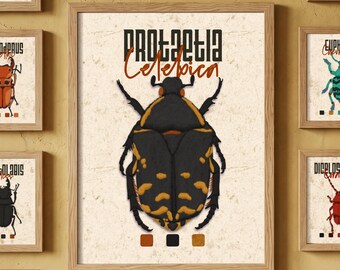 Printable insect poster. Black and yellow bug decor for kids room. Entomology art gift.