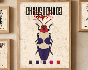 Printable insect poster. Colorful bug decor for kids room. Entomology art gift.