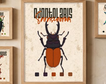Printable insect poster. Stag Beetle. Orange-winged bug decor for kids room. Entomology art gift