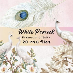 Weißer Pfau Clipart - Pfau PNG, Magnolien Blume Clipart, wunderliche Clip Art, digitaler Download PNG-Dateien zum Basteln und kommerziellen Gebrauch
