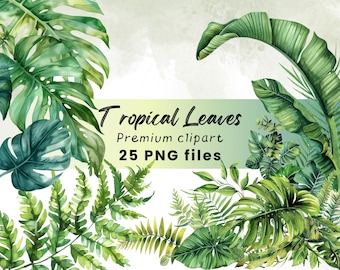 Watercolor Tropical Leaves Clipart, Fern, Monstera, Palm Leaves, Jungle Plants, Greenery, Safari, Botanical, Digital Download PNG, 300 DPI