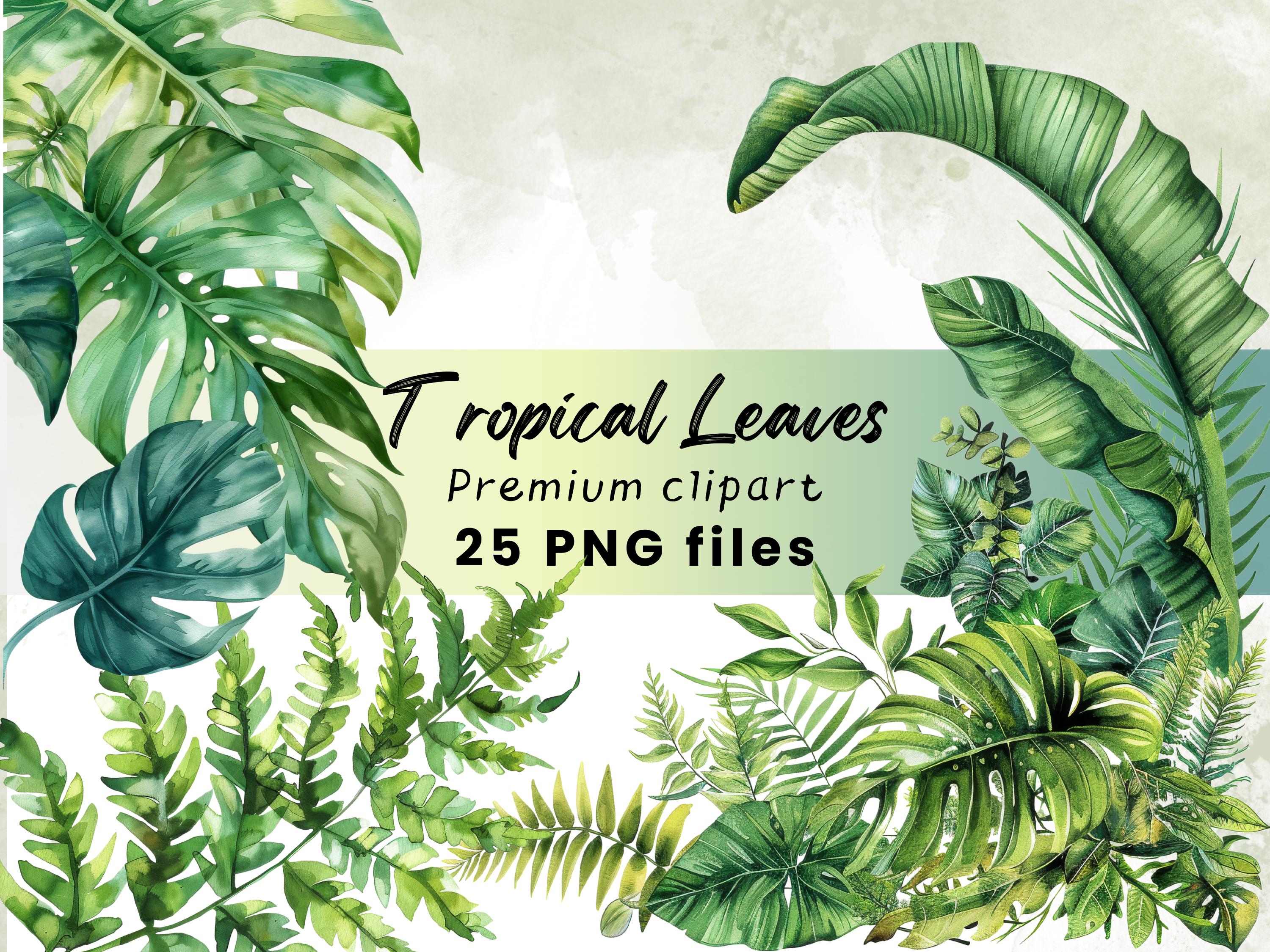 Watercolor Tropical Leaves Clipart, Fern, Monstera, Palm Leaves, Jungle Plants, Greenery, Safari, Botanical, Digital Download PNG, 300 DPI