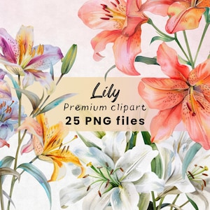 Clipart fleur de lys aquarelle, floral rose blanc, PNG romantique, mariage, jardin botanique, Pâques, lys d'été, téléchargement immédiat, 300 DPI