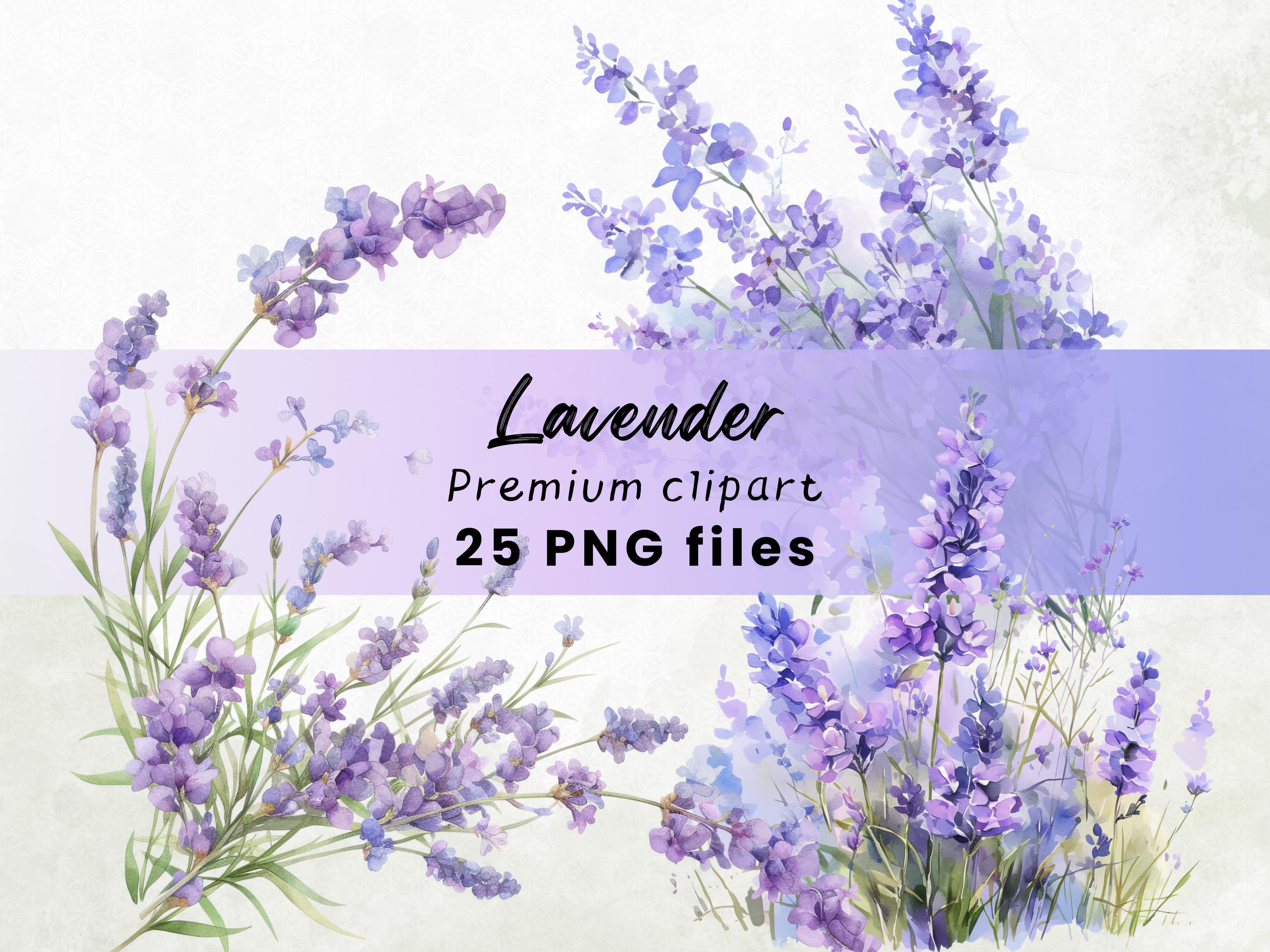 Watercolor Lavender Clipart, Bouquet, Wreath, Elegant Purple Flower PNG, Invitation, Printables, Instant Download, Wiccan Clipart 300 DPI