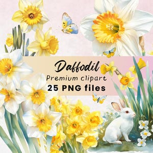Clipart de narciso aquarela - Flor de primavera PNG, guirlanda de Páscoa, impressão de arte floral para artesanato em papel e uso comercial, download digital
