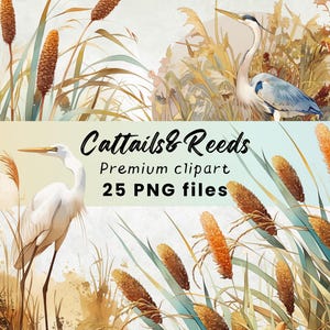 Clipart aquarelle de quenouilles, de roseaux et de héron - étang d'eau PNG, impression d'art nature pour créations en papier et usage Commercial, téléchargement numérique