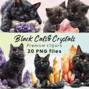 Himmlische schwarze Katze Clipart, Wicca Clipart, mystische Hexe, Katze Grimoire, magische PNG, Fantasy, Mond, Sofort Download, 300 DPI