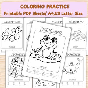 Alcohol Marker Swatch Chart: Color Blending Practice (PDF Download A4/Letter Size)