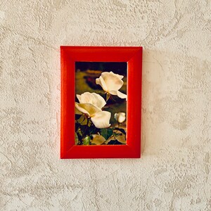 VINTAGE ORIGINAL POSTKARTE Russland 1974 mit Weißen Rosen Garten Blumen.Buchenholzrahmen Retro Dekor Udssr Handgemachtes Geschenk für Freundschaft.