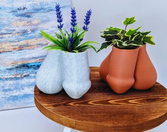 3D Printed Succulent Planter Pot - Male Body Plant Pots - Anatomy Planters - Unique Stylish Home Decor - Balls Pot - Fun Gift - Unique Gift