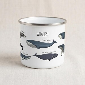 Whale Species Enamel Mug, Marine Biology Gift, Ocean Lover Camping Cup