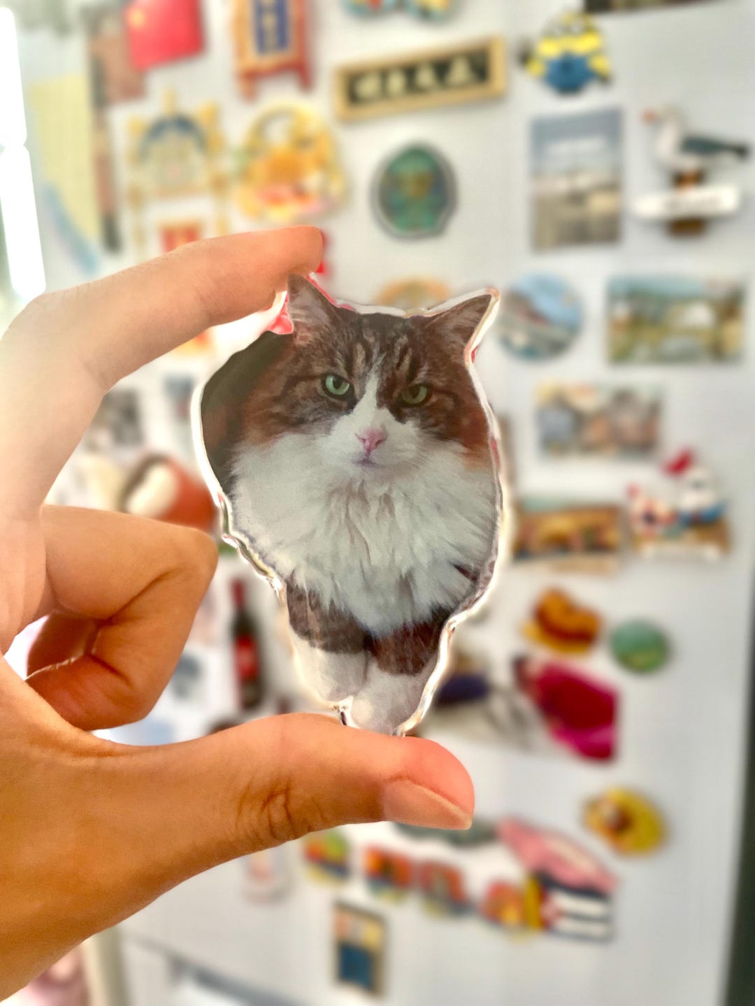 Custom Fridge Magnet Photo, Personalized Refrigerator Magnets, Pet ...
