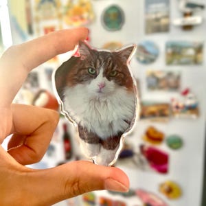 Aimant Réfrigérateur Personnalisé Photo Chien et Chat – Magnet Frigo Portrait Animaux – Cadeau Amoureux des Animaux – Décoration Cuisine